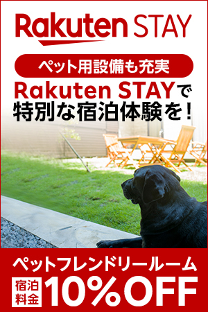 飼い主のそばを離れない犬 このかわいい行動に思わぬ病気が隠れていることも Uchinoco うちの子