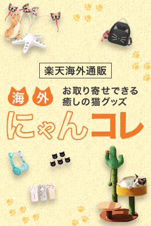 老犬介護の悩み解決 オムツかぶれはどうしたらいい Uchinoco うちの子
