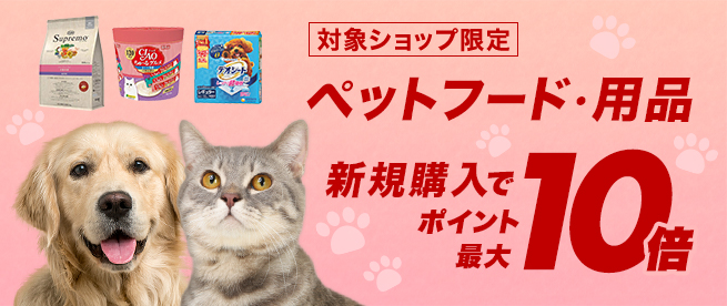 子猫がケージに入ると鳴くのはどうして 原因と対策 Uchinoco うちの子