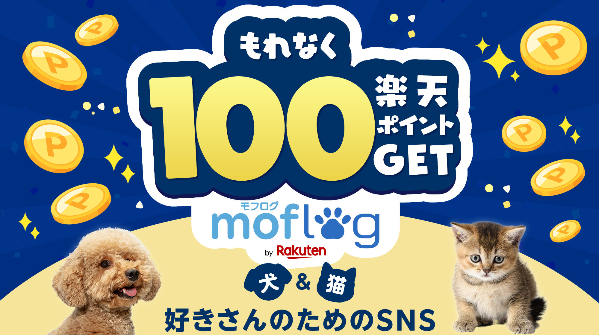 moflog_campaign_2026_1_top