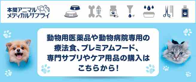 もしかしてその名前はタブー 犬につけてはいけない名前とは Uchinoco うちの子 もしかしてその名前はタブー 犬につけてはいけない名前とは Uchinoco うちの子