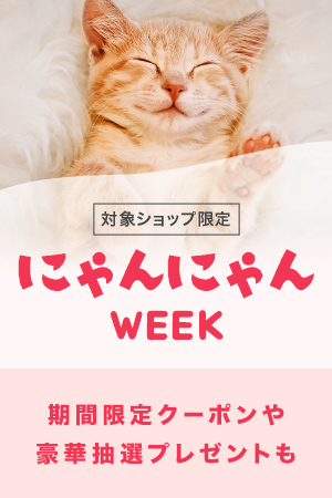 猫がおもちゃにすぐ飽きてしまう 理由や飽きない遊び方ご紹介 Uchinoco うちの子