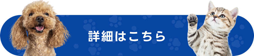 詳細はこちら