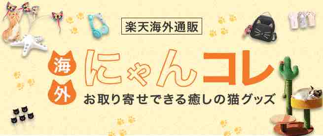 老犬介護の悩み解決 オムツかぶれはどうしたらいい Uchinoco うちの子